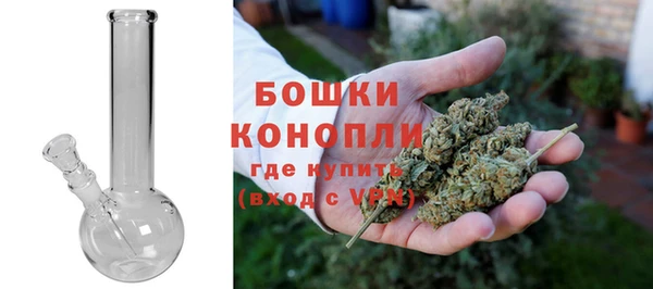 Альфа ПВП Белокуриха